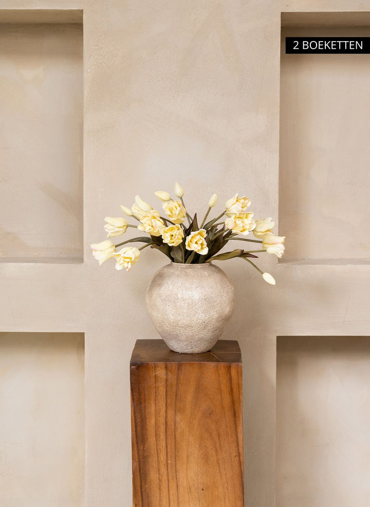 Herfst Tulpen - Ivoor