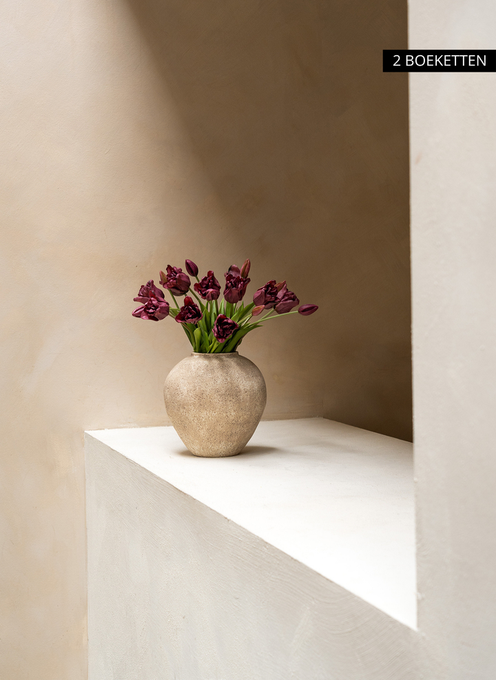 Herfst Tulpen - Paars