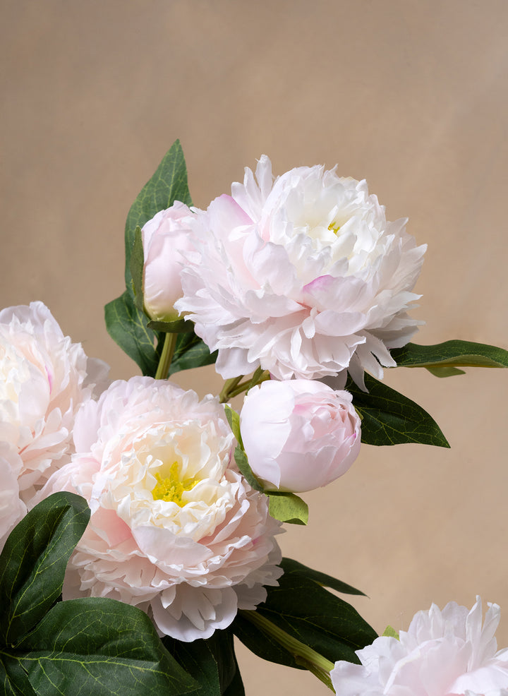 Zijden Pioenrozen - Lichtroze (6 stengels/ 18 bloemhoofdjes)