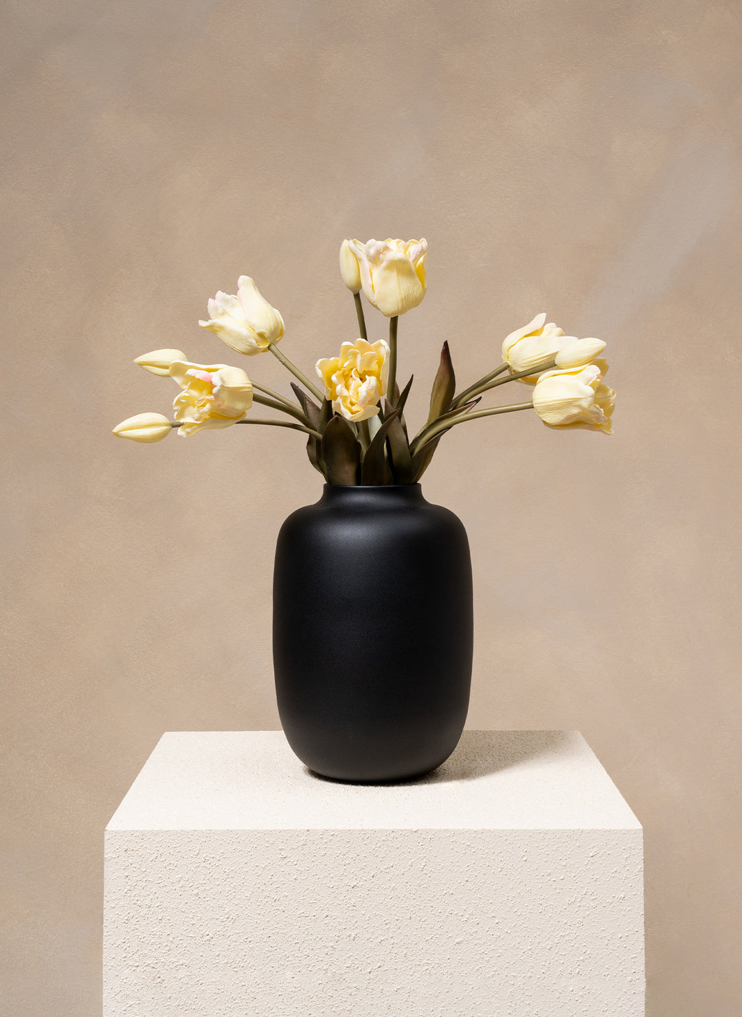 Herfst Tulpen - Ivoor