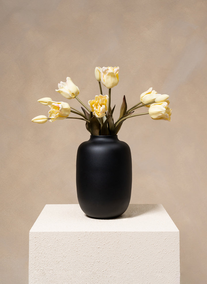 Herfst Tulpen - Ivoor