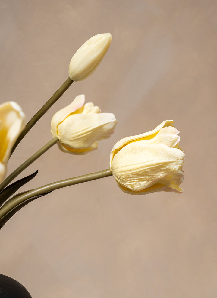 Herfst Tulpen - Ivoor