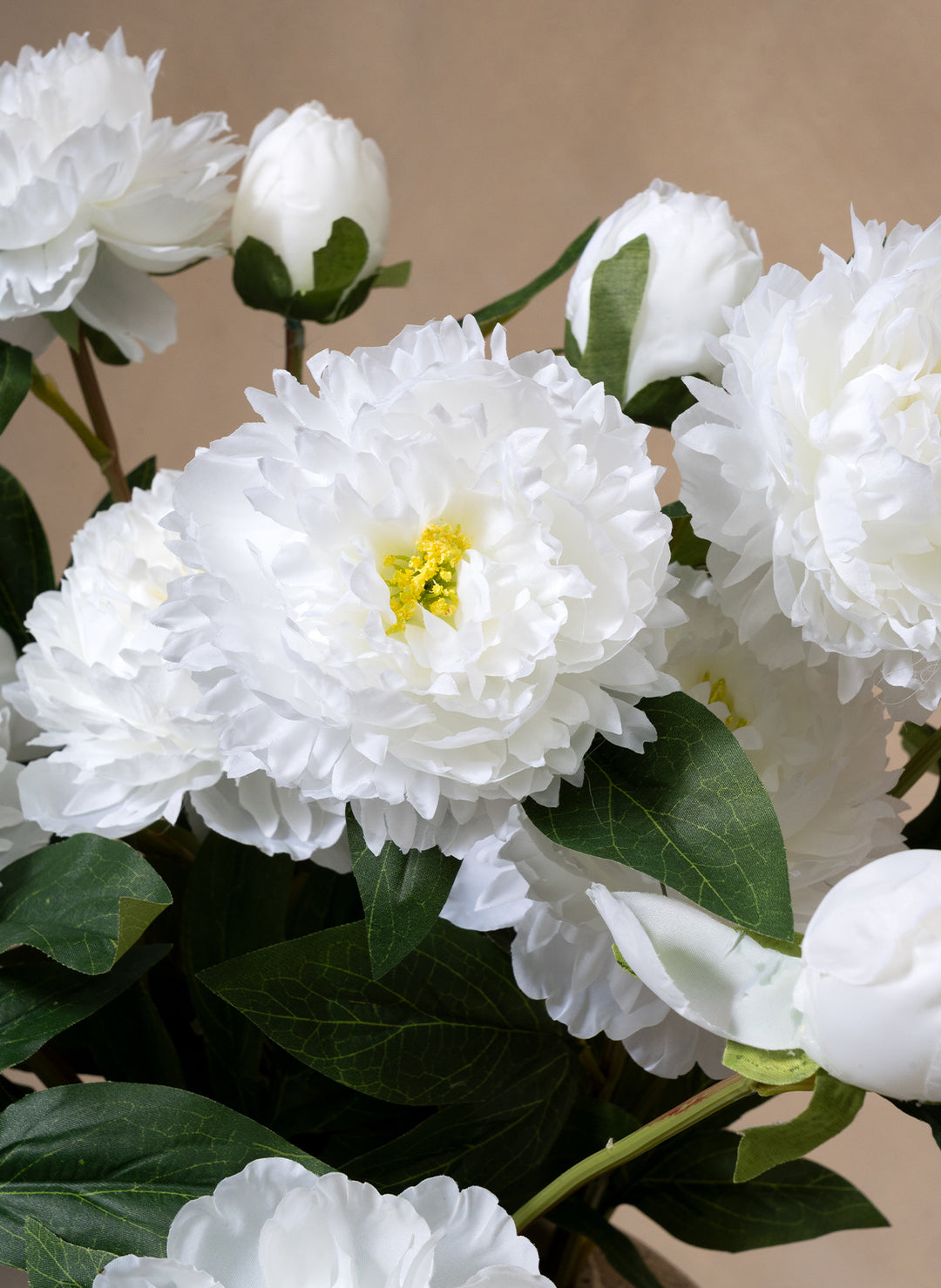 Zijden Pioenrozen - Wit (6 stengels/ 18 bloemhoofdjes)