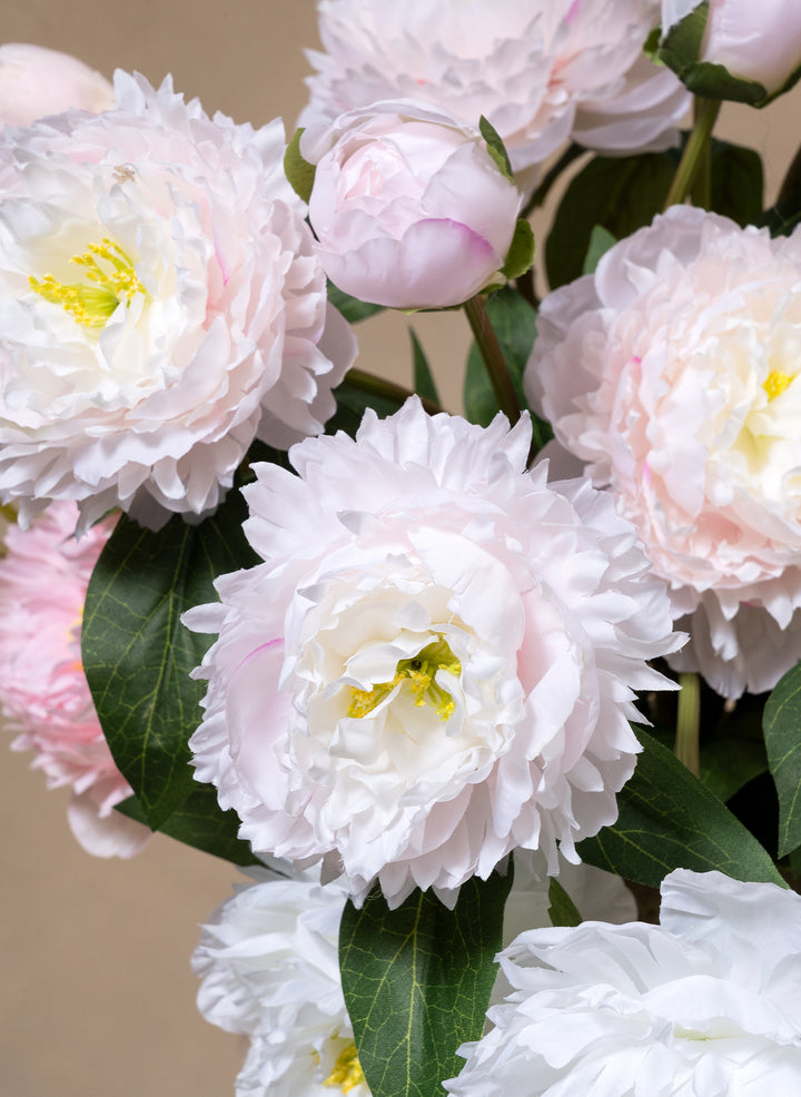 Zijden Pioenrozen - Mix (6 stengels/ 18 bloemhoofdjes)