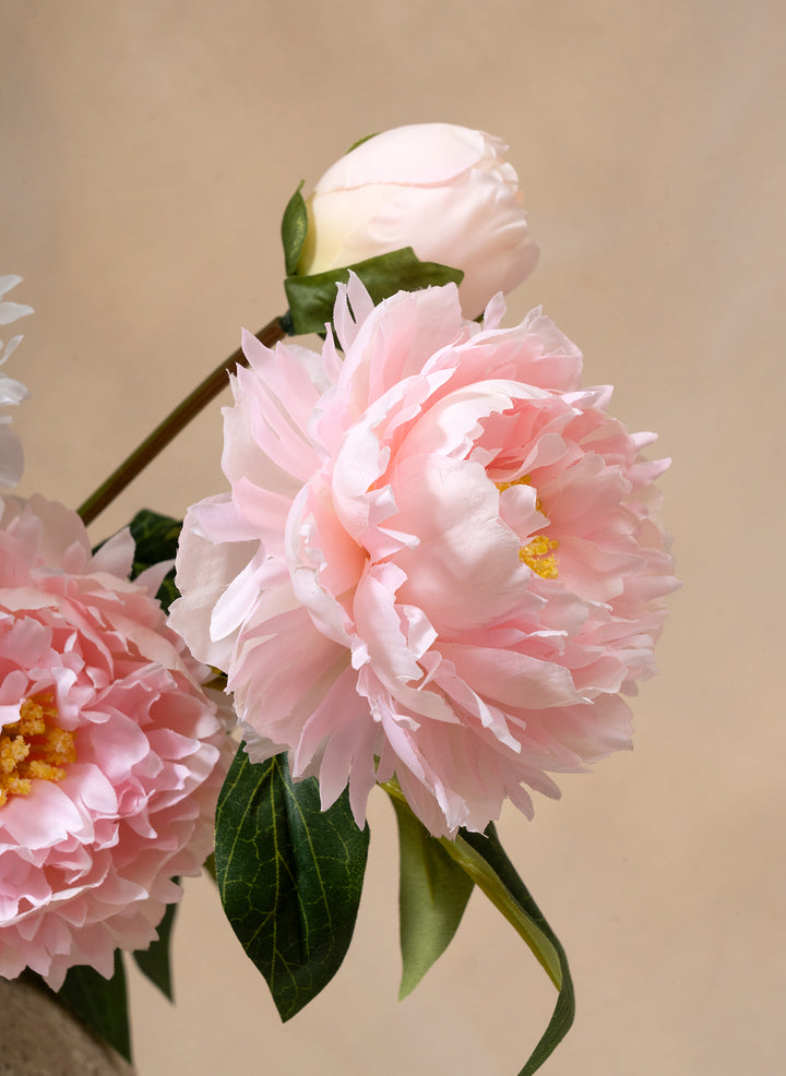 Zijden Pioenrozen - Mix (6 stengels/ 18 bloemhoofdjes)