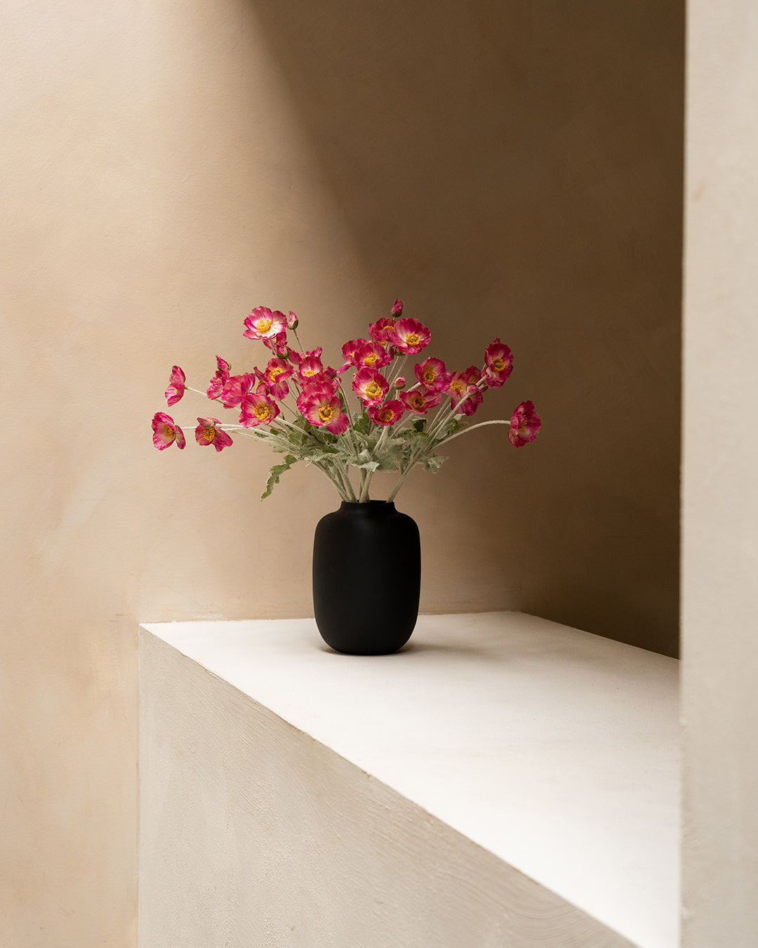 Nola Vaas - Mat Zwart