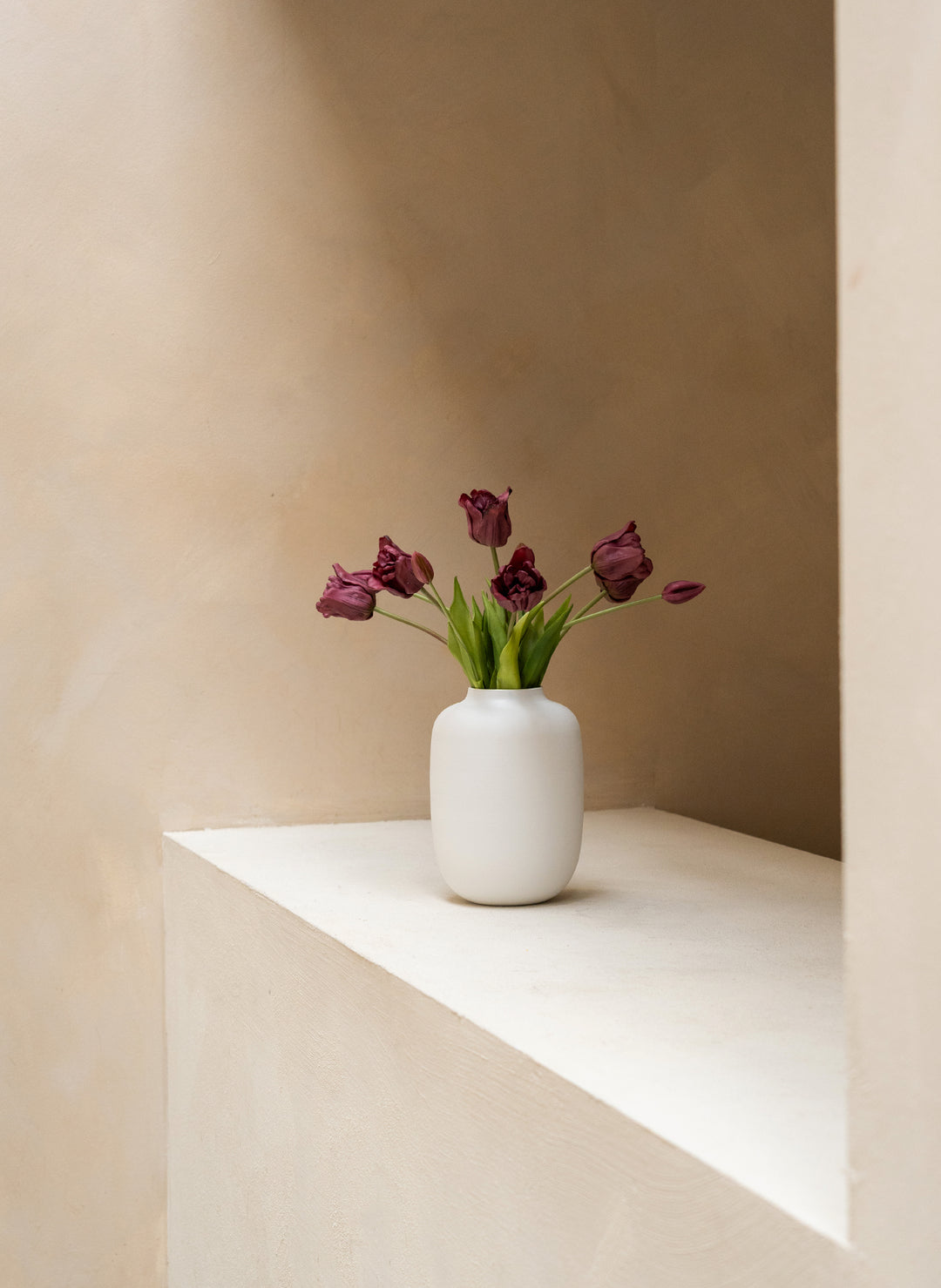 Herfst Tulpen - Paars