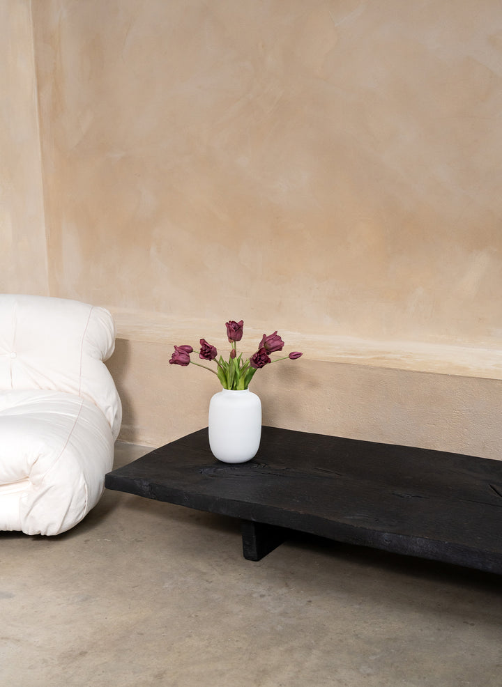 Herfst Tulpen - Paars