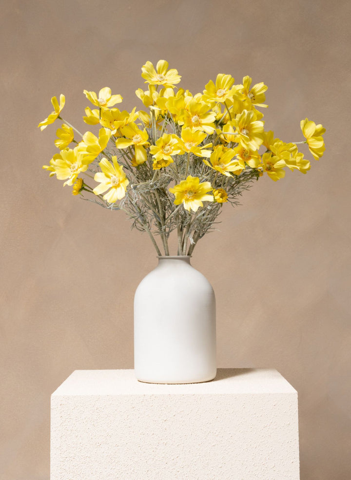 Zijden Madeliefjes (10 stengels) - Geel