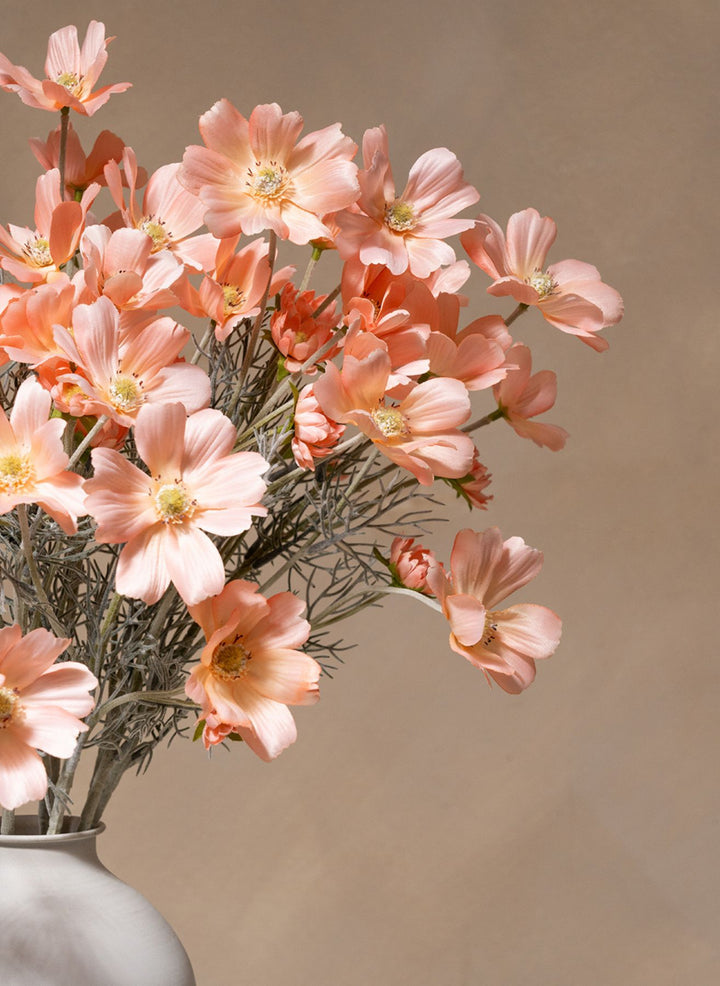 Zijden Madeliefjes (10 stengels) - Peach