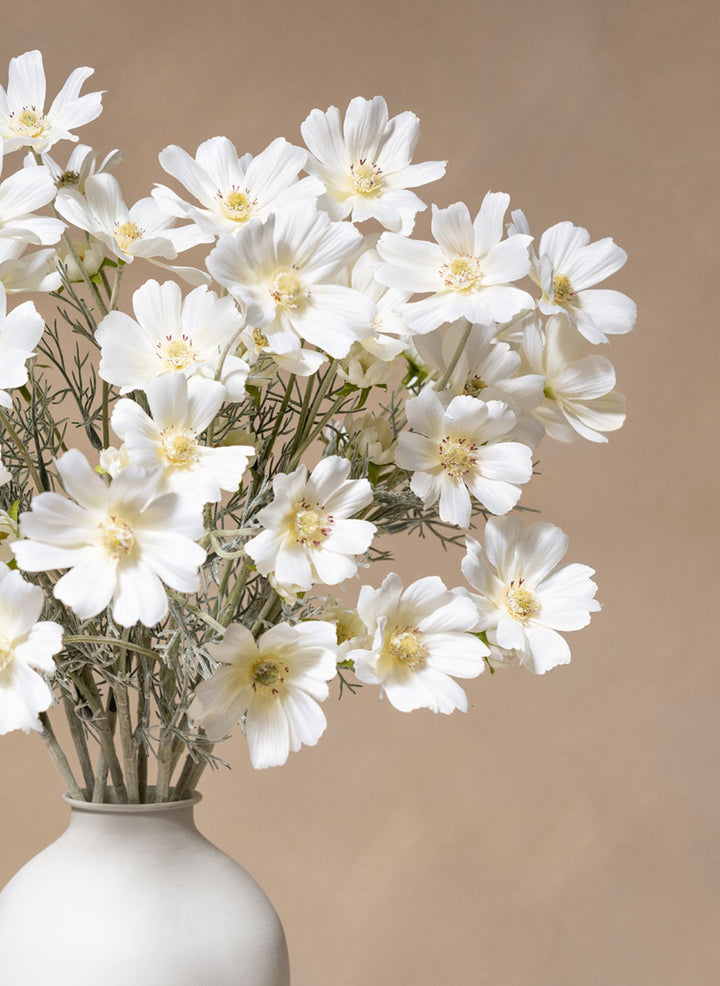 Zijden Madeliefjes (10 stengels) - Wit