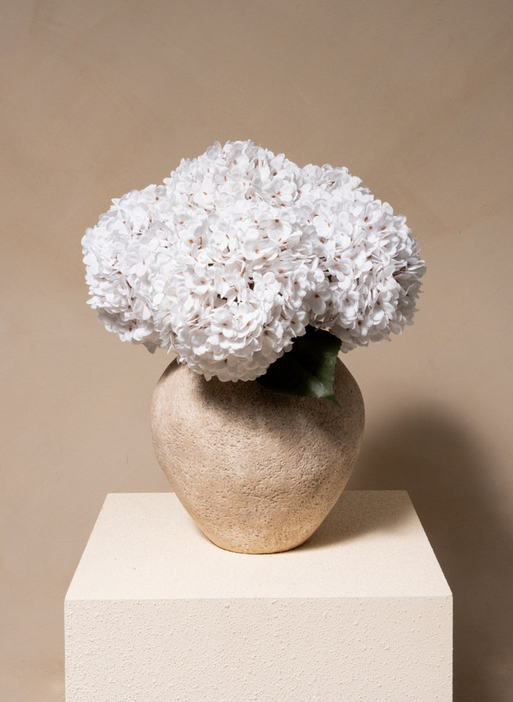 Grote Zijden Hortensia (5 stengels) - Wit