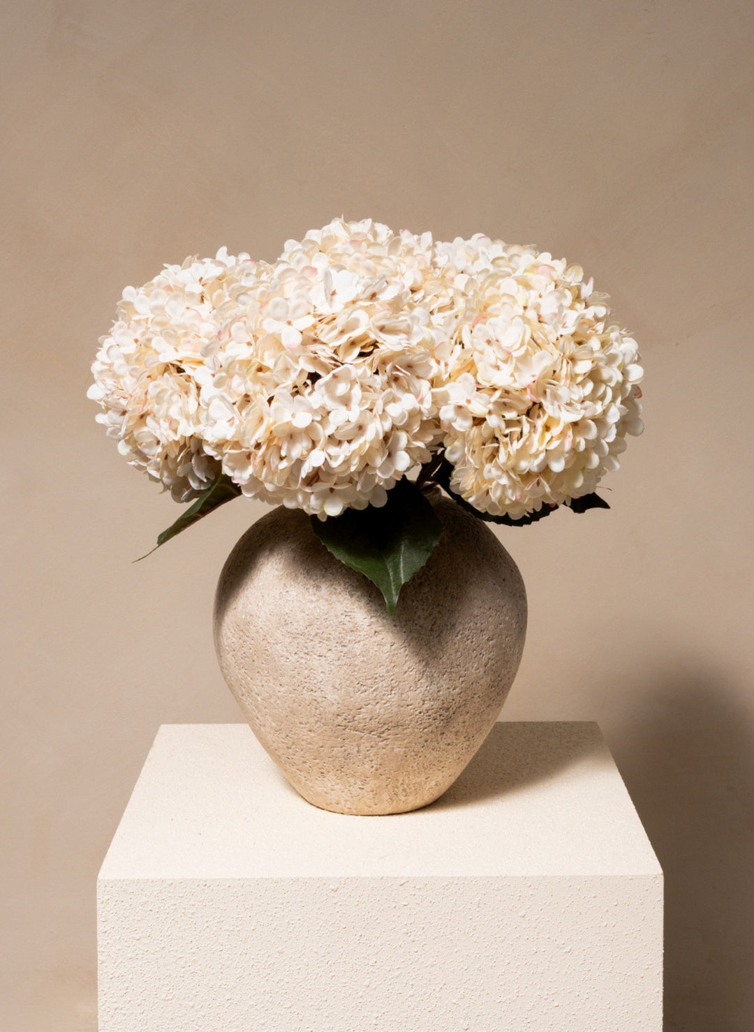 Grote Zijden Hortensia (5 stengels) - Crème