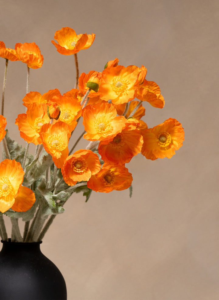 Zijden Klaprozen - Licht oranje (10 stengels)