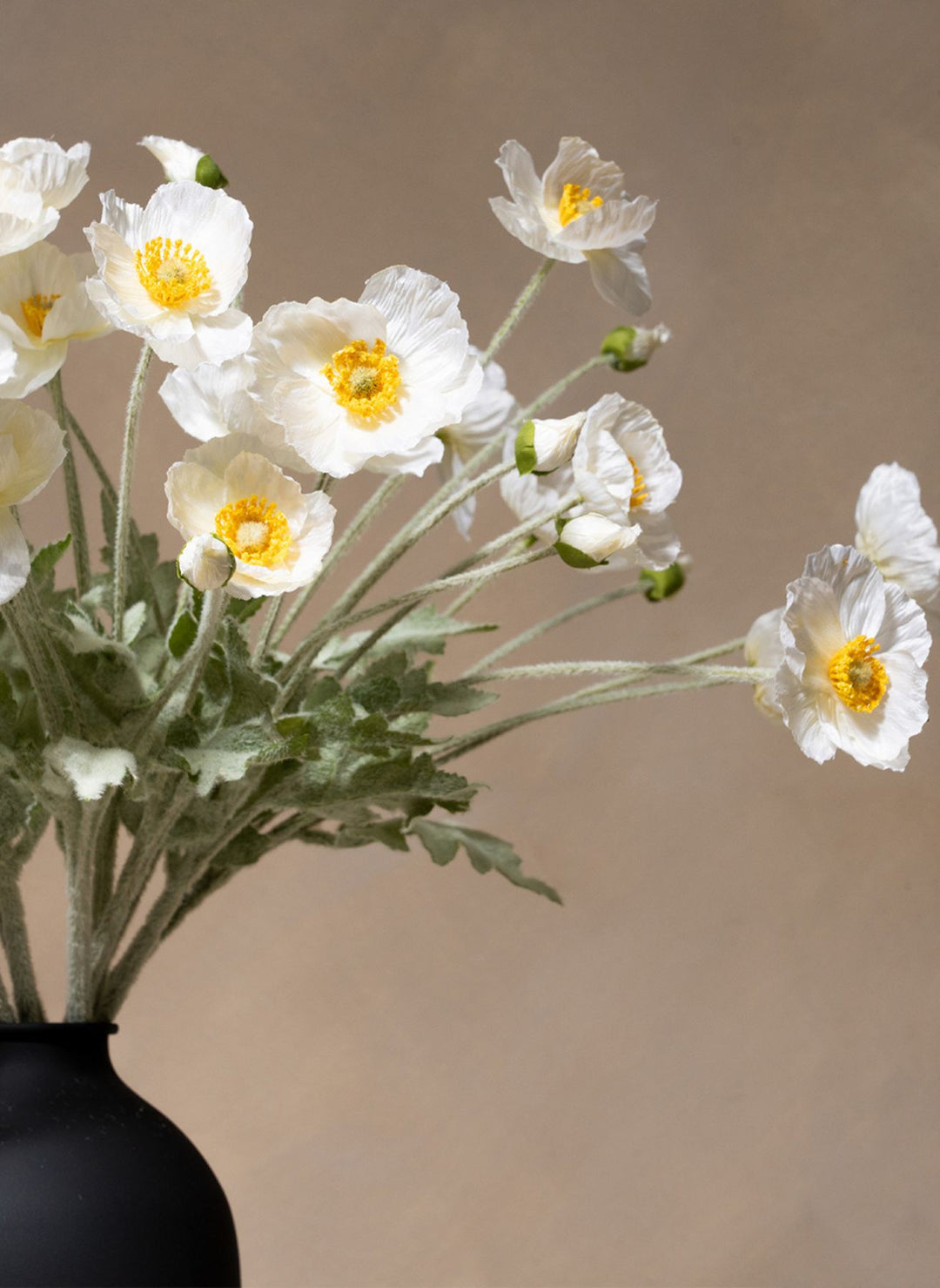 Zijden Klaprozen - Wit (10 stengels)