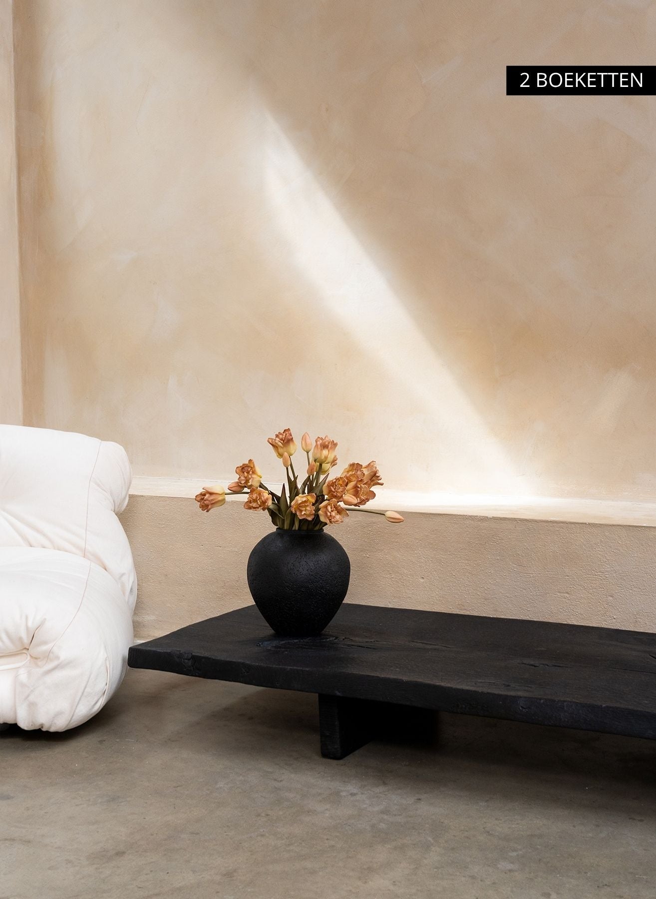 Tulipes Perroquet - Café