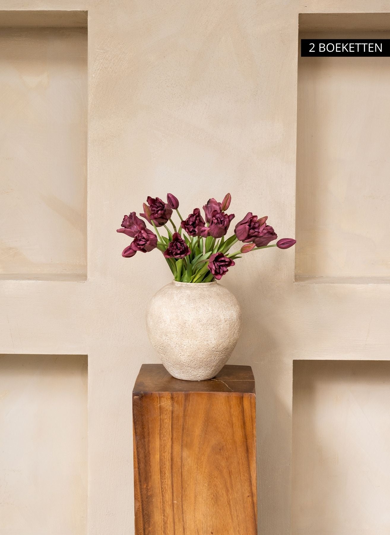 Tulipes Perroquet - Violet