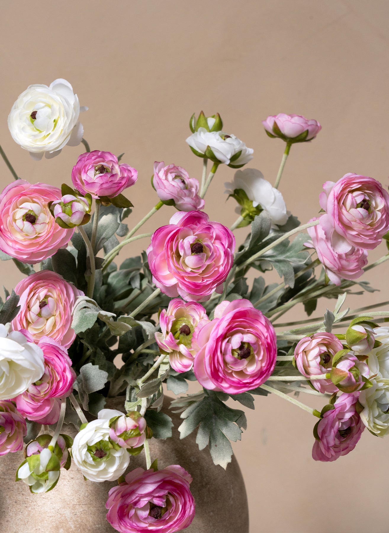 Ranonkel Arrangement