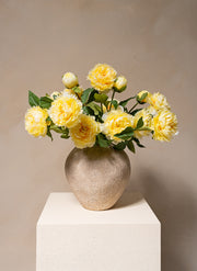 Pivoines en soie - Jaune (6 tiges / 18 têtes de fleurs)