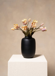 Papegaai Tulpen - Violet