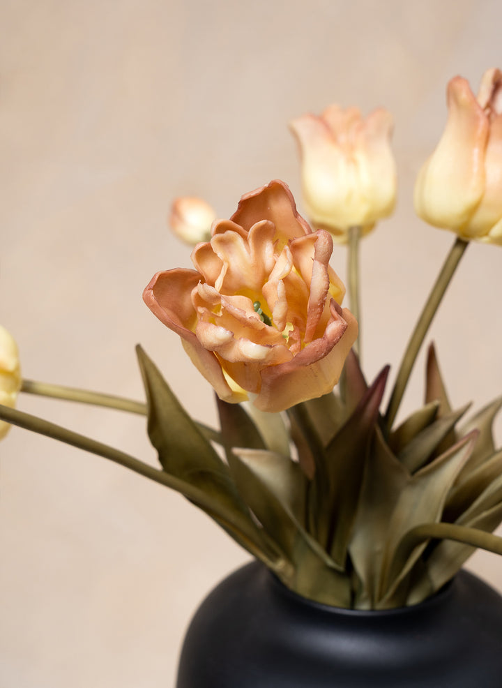 Herfst Tulpen - Koffie