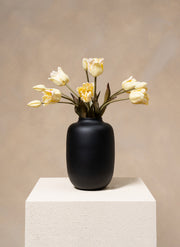 Papegaai Tulpen - Wit