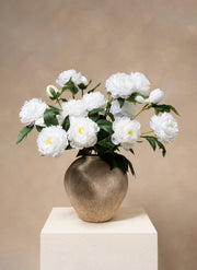 Zijden Pioenrozen - Wit