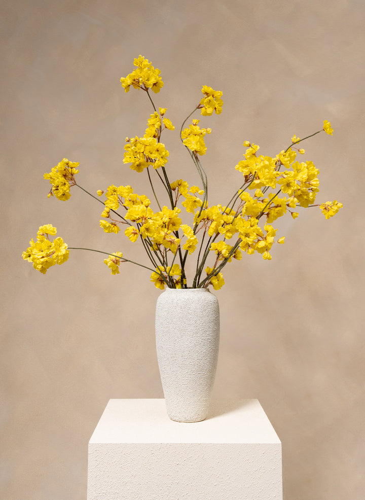 Winter Jasmijn - Geel