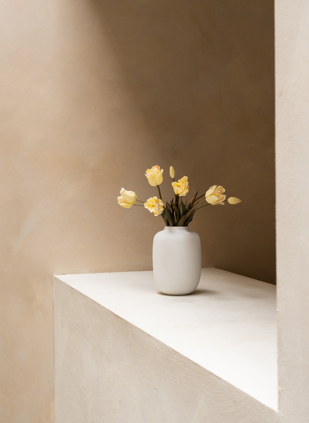 Papegaai Tulpen - Wit