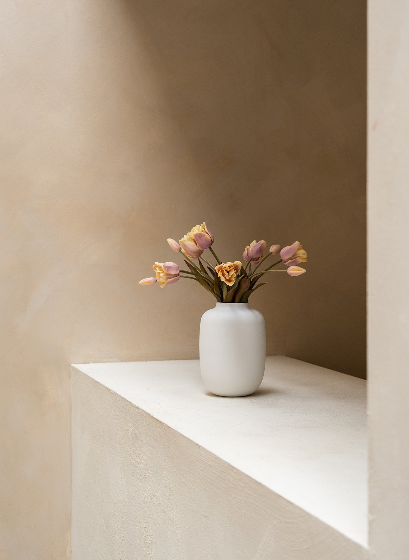 Papegaai Tulpen - Violet