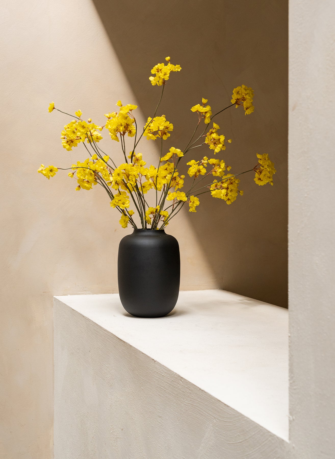 Winter Jasmijn - Geel