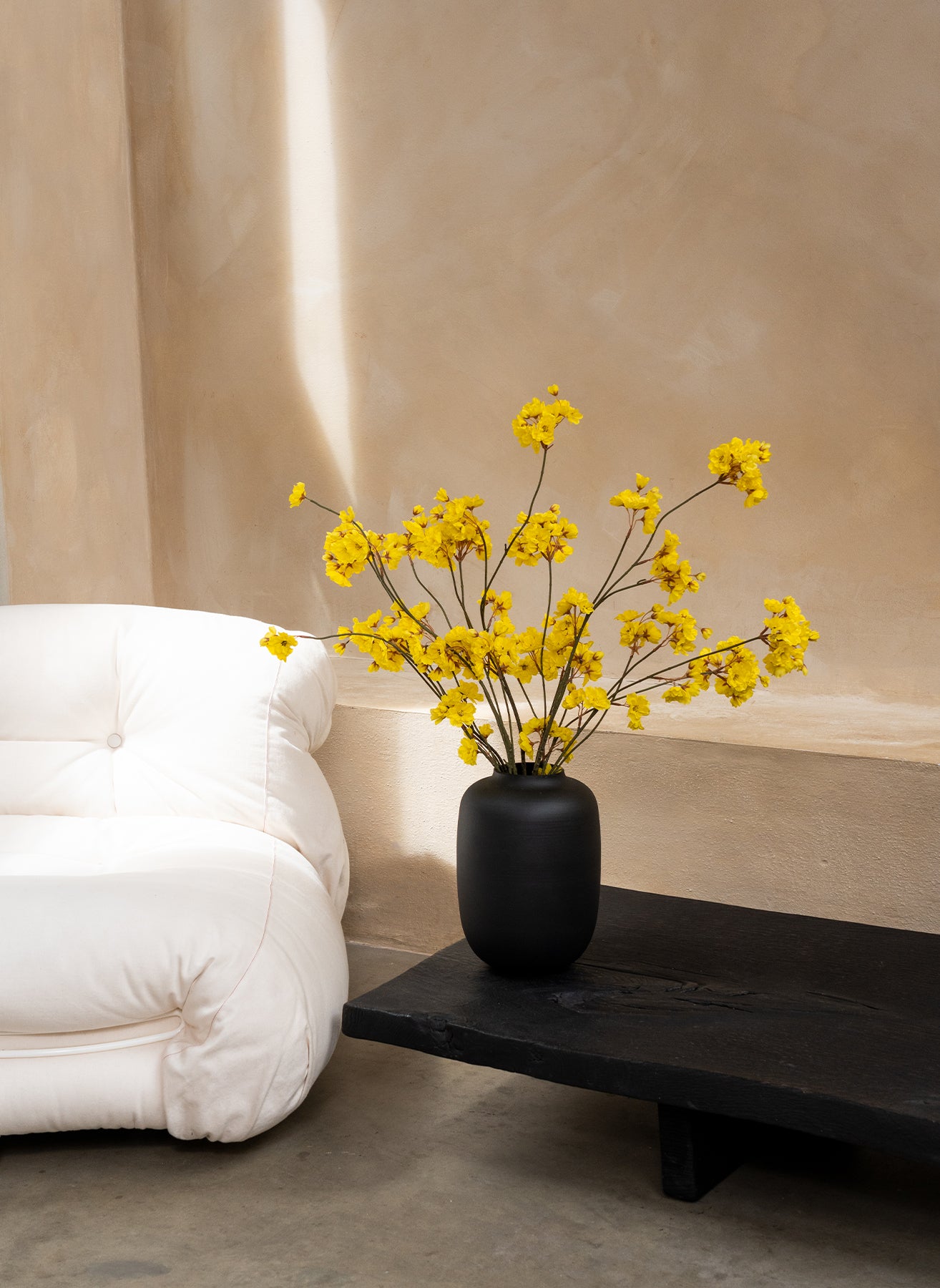 Winter Jasmijn - Geel