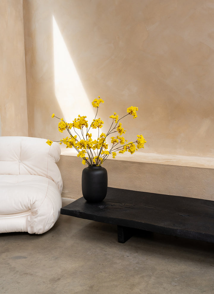 Winter Jasmijn - Geel