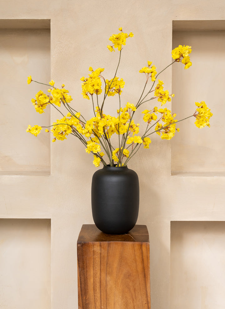 Winter Jasmijn - Geel