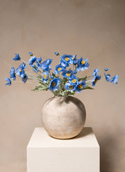 Zijden Klaprozen - Blauw