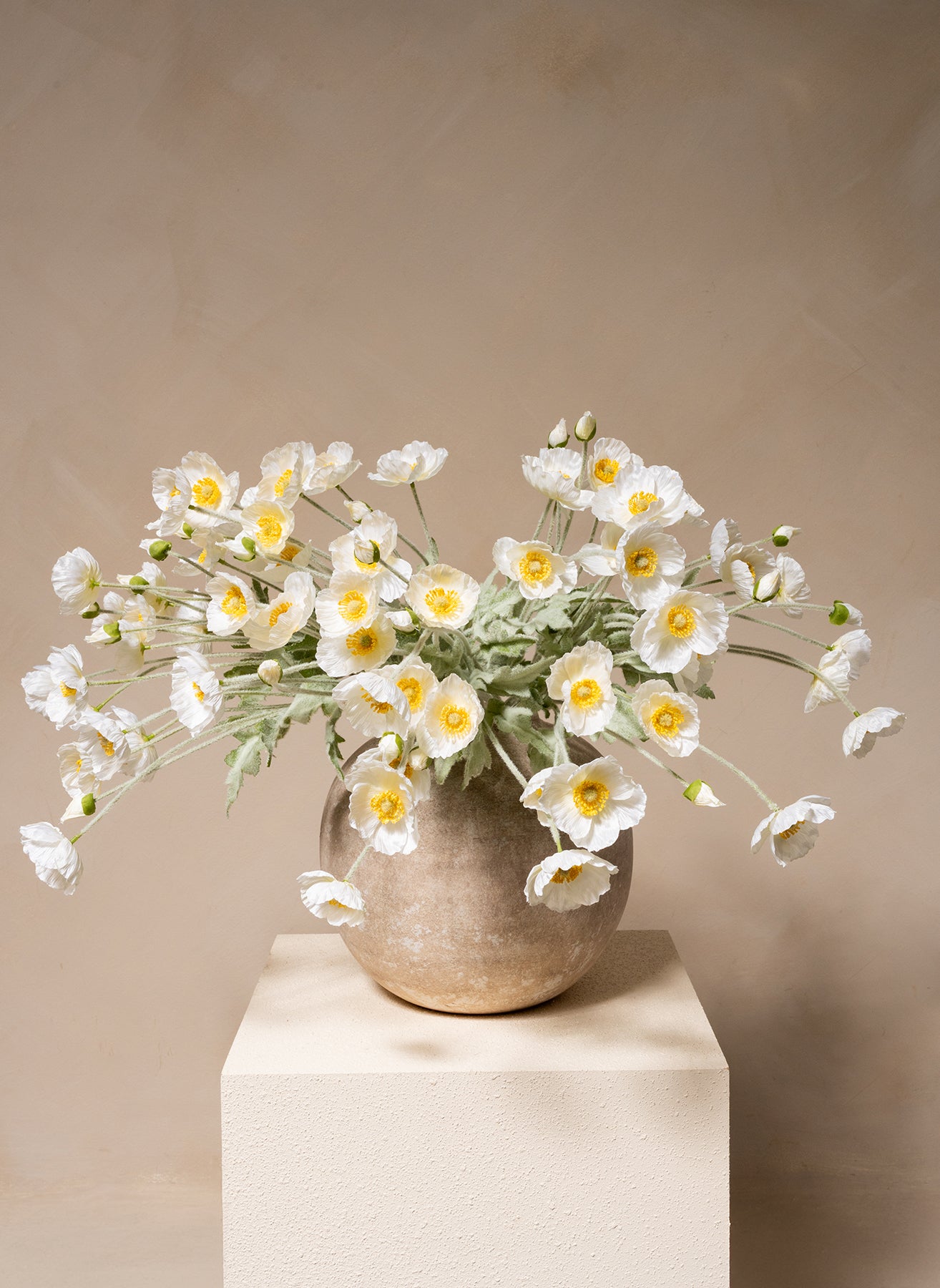 Zijden Klaprozen - Wit