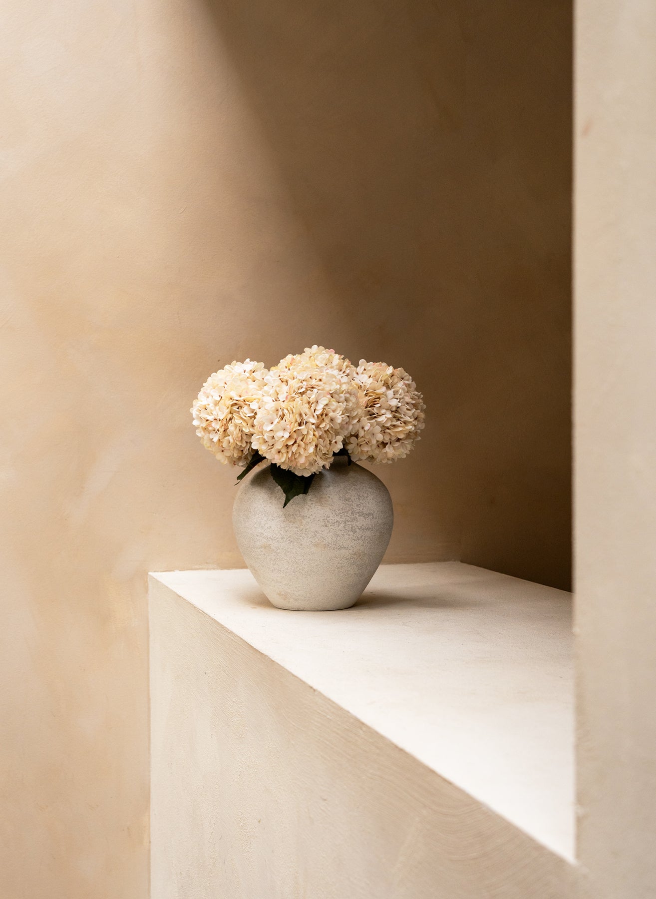 Grote Zijden Hortensia - Crème