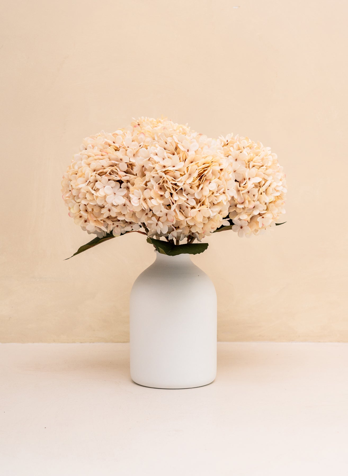 Zijden Hortensia