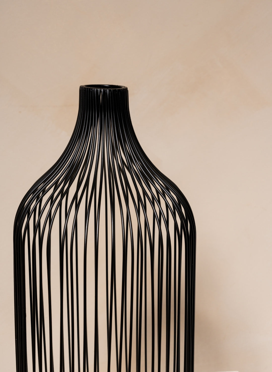 Diva Vaas - Zwart