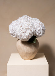 Grote Zijden Hortensia - Wit