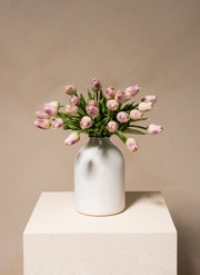 Tulpen Boeket - Violet (25 stengels)