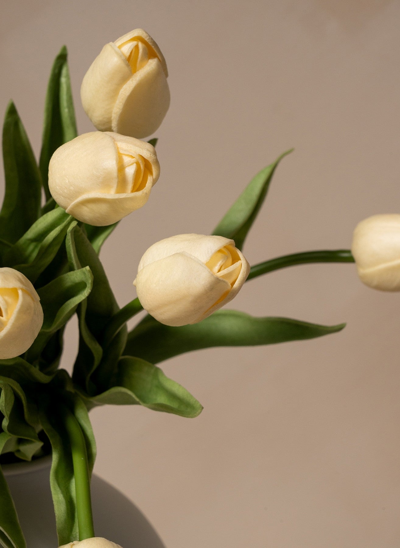 Tulpen Boeket - Ivoor